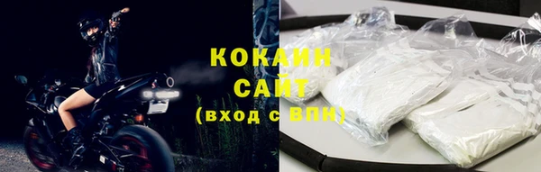 гашик Няндома