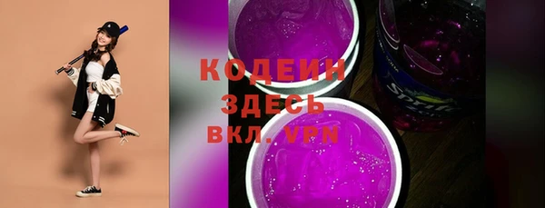 шишки Нязепетровск