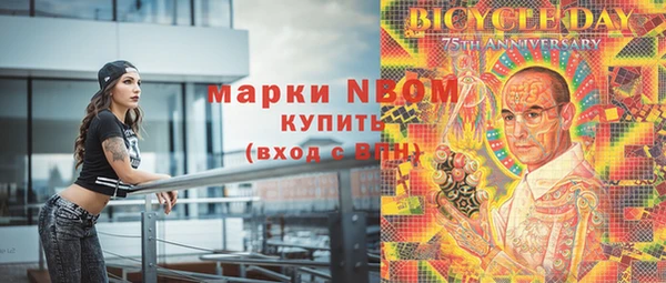 шишки Нязепетровск