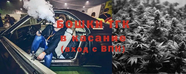 шишки Нязепетровск