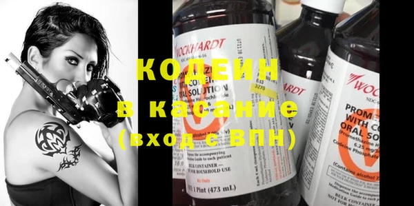 шишки Нязепетровск