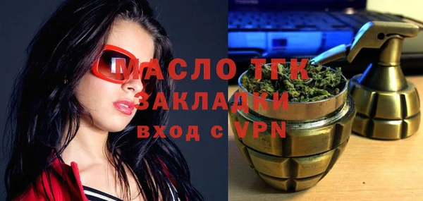 гашик Няндома