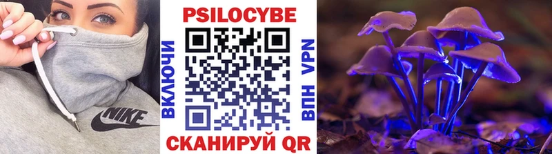 кракен как зайти  Лесозаводск  Псилоцибиновые грибы мухоморы 